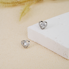 925 Sterling Silver Earrings