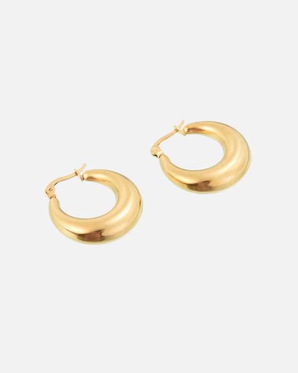 Chunky Earrings