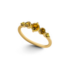 Five Stone Statement Birthstone Ring
