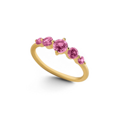 Five Stone Statement Birthstone Ring