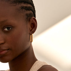 Large Icon Hoops